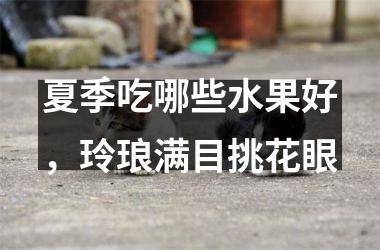 夏季吃哪些水果好，玲琅满目挑花眼