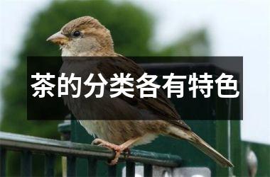 茶的分类各有特色
