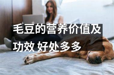 毛豆的营养价值及功效 好处多多