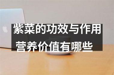 紫菜的功效与作用 营养价值有哪些