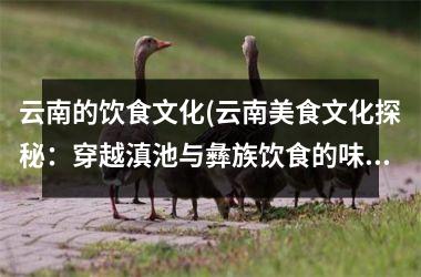 云南的饮食文化(云南美食文化探秘：穿越滇池与彝族饮食的味蕾之旅)
