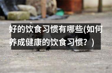 好的饮食习惯有哪些(如何养成健康的饮食习惯？)