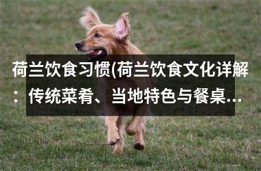 <h3>荷兰饮食习惯(荷兰饮食文化详解：传统菜肴、当地特色与餐桌礼仪)