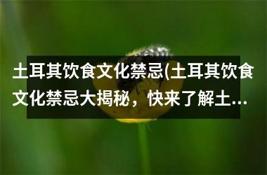 <h3>土耳其饮食文化禁忌(土耳其饮食文化禁忌大揭秘，快来了解土耳其千年食俗！)
