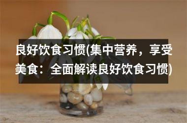 <h3>良好饮食习惯(集中营养，享受美食：全面解读良好饮食习惯)