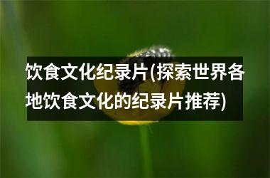 <h3>饮食文化纪录片(探索世界各地饮食文化的纪录片推荐)