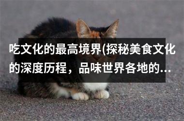 吃文化的最高境界(探秘美食文化的深度历程，品味世界各地的精髓美味)