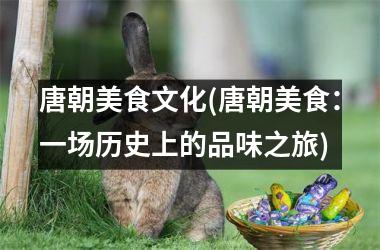 <h3>唐朝美食文化(唐朝美食：一场历史上的品味之旅)