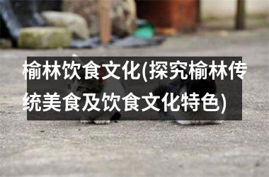 榆林饮食文化(探究榆林传统美食及饮食文化特色)