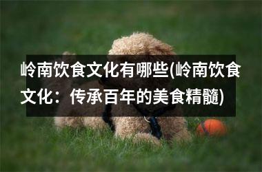 岭南饮食文化有哪些(岭南饮食文化：传承百年的美食精髓)