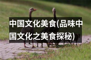 文化美食(品味文化之美食探秘)