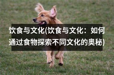 饮食与文化(饮食与文化：如何通过食物探索不同文化的奥秘)