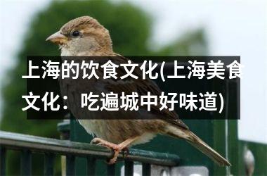 <h3>上海的饮食文化(上海美食文化：吃遍城中好味道)