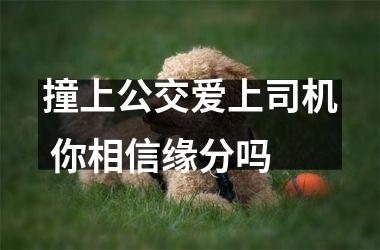 <h3>撞上公交爱上司机 你相信缘分吗