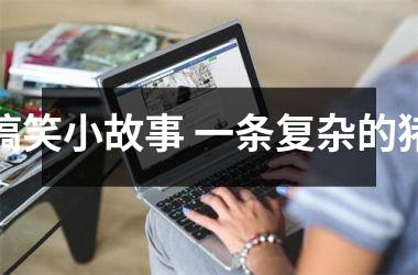 <h3>搞笑小故事 一条复杂的猪