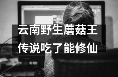 <h3>云南野生蘑菇王 传说吃了能修仙