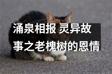 <h3>涌泉相报 灵异故事之老槐树的恩情