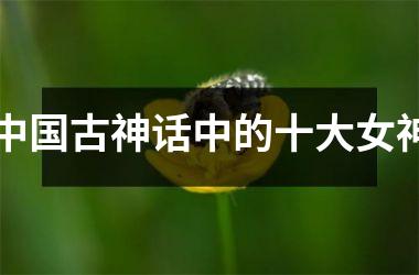 古神话中的十大女神