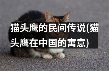 <h3>猫头鹰的民间传说(猫头鹰在的寓意)