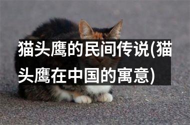 猫头鹰的民间传说(猫头鹰在的寓意)