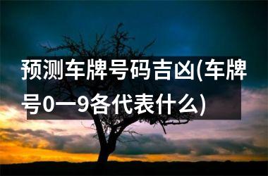 <h3>预测车牌号码吉凶(车牌号0一9各代表什么)