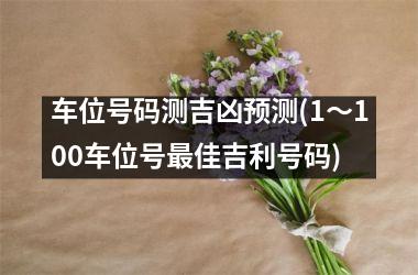 <h3>车位号码测吉凶预测(1～100车位号佳吉利号码)