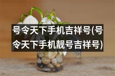 号令天下手机吉祥号(号令天下手机靓号吉祥号)