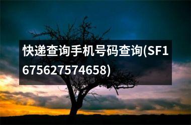 <h3>快递查询手机号码查询(SF1675627574658)