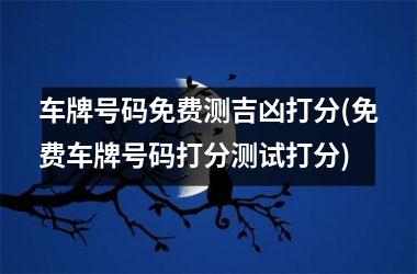 <h3>车牌号码免费测吉凶打分(免费车牌号码打分测试打分)