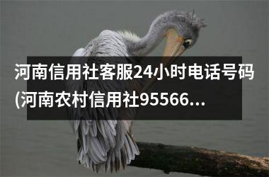 河南信用社客服24小时电话号码(河南农村信用社95566人工服务)