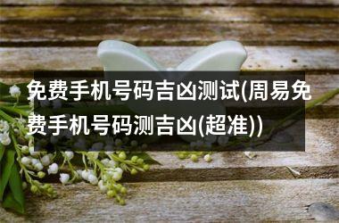 <h3>免费手机号码吉凶测试(周易免费手机号码测吉凶(超准))