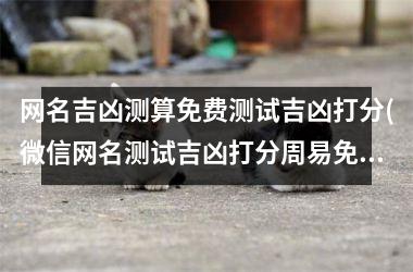 <h3>网名吉凶测算免费测试吉凶打分(微信网名测试吉凶打分周易免费)