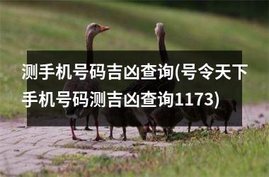 <h3>测手机号码吉凶查询(号令天下手机号码测吉凶查询1173)