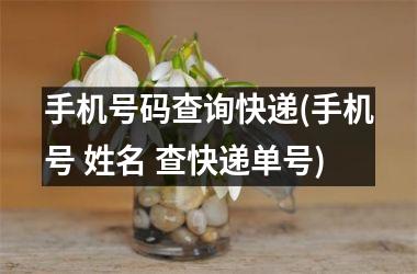 手机号码查询快递(手机号 姓名 查快递单号)