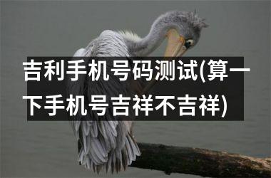 <h3>吉利手机号码测试(算一下手机号吉祥不吉祥)