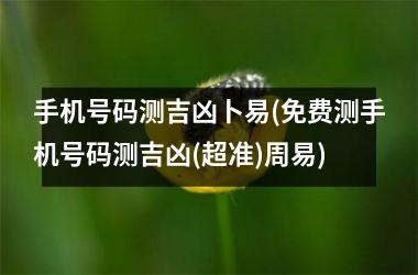 手机号码测吉凶卜易(免费测手机号码测吉凶(超准)周易)