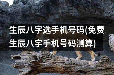 生辰八字选手机号码(免费生辰八字手机号码测算)