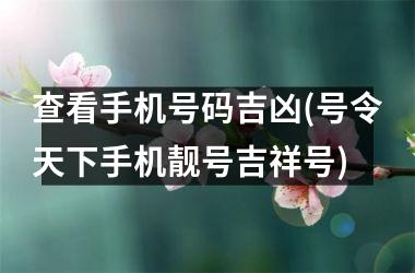 <h3>查看手机号码吉凶(号令天下手机靓号吉祥号)