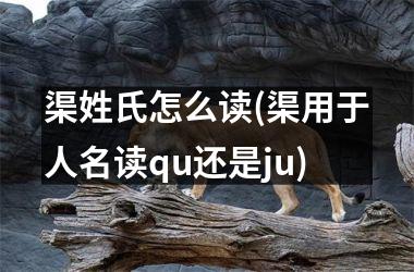 渠姓氏怎么读(渠用于人名读qu还是ju)