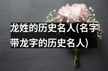 <h3>龙姓的历史名人(名字带龙字的历史名人)