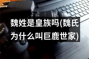 魏姓是皇族吗(魏氏为什么叫巨鹿世家)