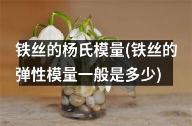 <h3>铁丝的杨氏模量(铁丝的弹性模量一般是多少)