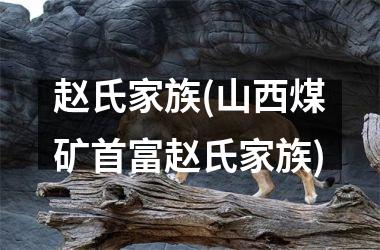 <h3>赵氏家族(山西煤矿首富赵氏家族)