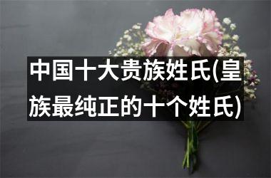 <h3>十大贵族姓氏(皇族最纯正的十个姓氏)