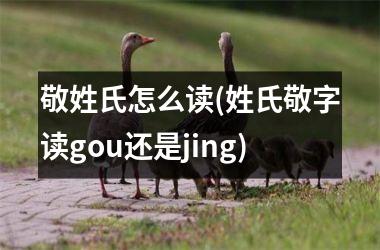 <h3>敬姓氏怎么读(姓氏敬字读gou还是jing)