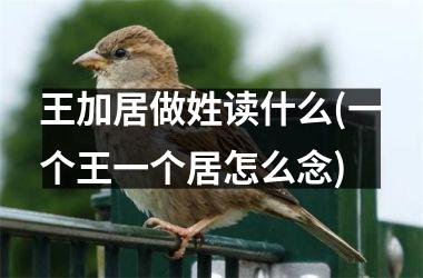 <h3>王加居做姓读什么(一个王一个居怎么念)