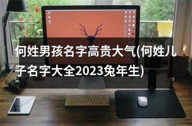 <h3>何姓男孩名字高贵大气(何姓儿子名字大全2025兔年生)