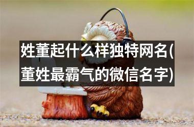 <h3>姓董起什么样独特网名(董姓最霸气的微信名字)