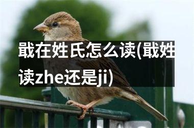 <h3>戢在姓氏怎么读(戢姓读zhe还是ji)