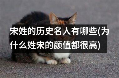 <h3>宋姓的历史名人有哪些(为什么姓宋的颜值都很高)
